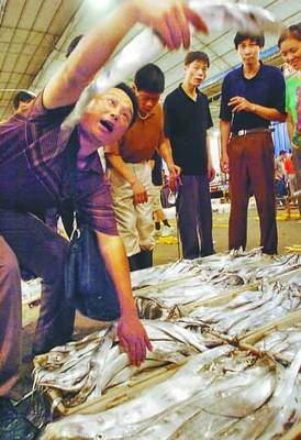 透骨新鮮第一網魚上市——品味海洋的饋贈